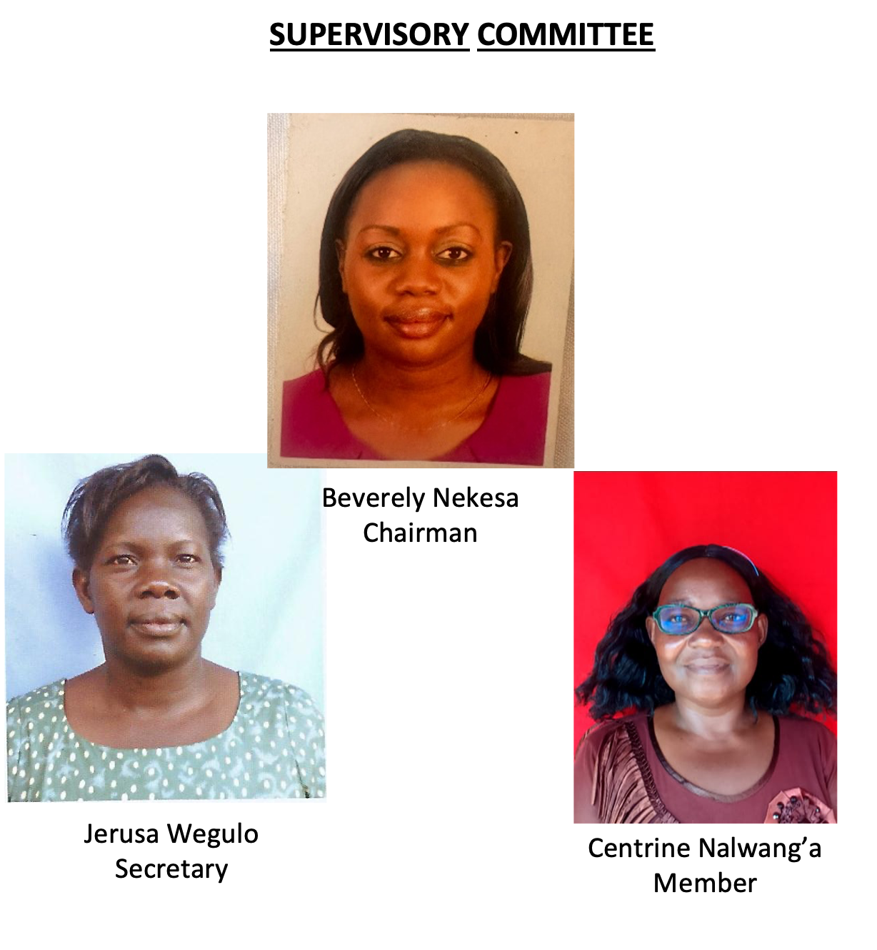 Supervisory Committee